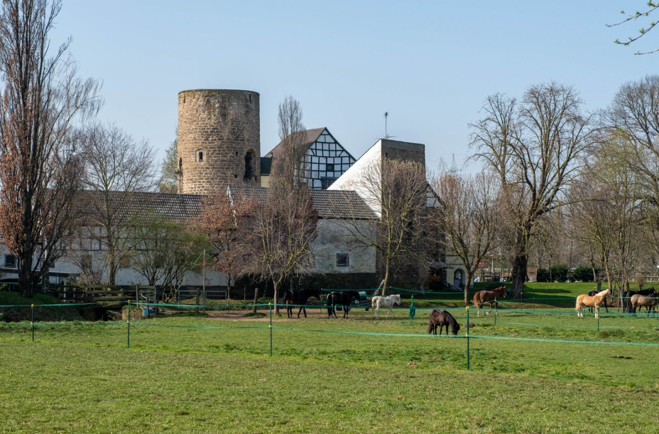 Burg Münchhausen, Wachtberg, Germany, Germany